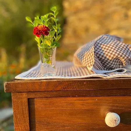A Casoa Guest House Santa Eulalia de Oscos Exterior photo